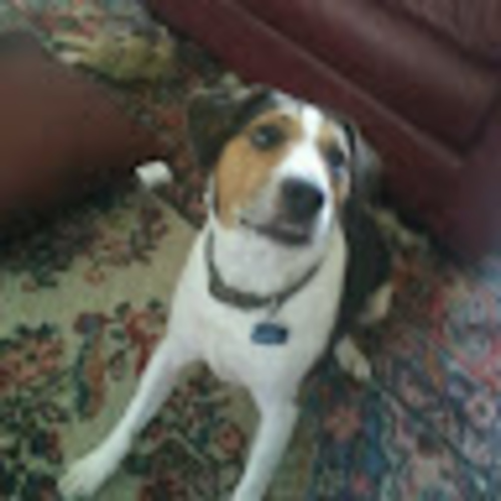 Meet your Posher, Derek